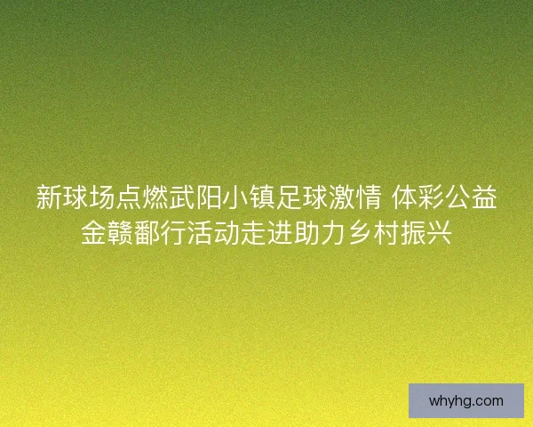 新球场点燃武阳小镇足球激情 体彩公益金赣鄱行活动走进助力乡村振兴