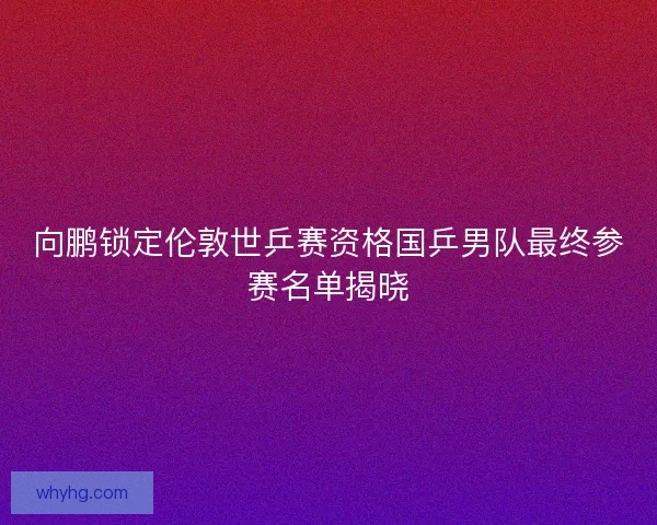 向鹏锁定伦敦世乒赛资格国乒男队最终参赛名单揭晓